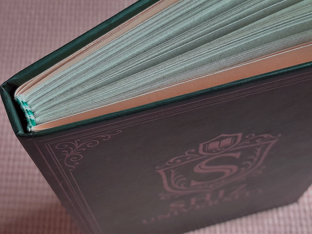 Cadernos WICKED Vista superior do caderno fechado, destacando o cabeceado verde e branco, com folhas de guarda em tom rosado metálico.